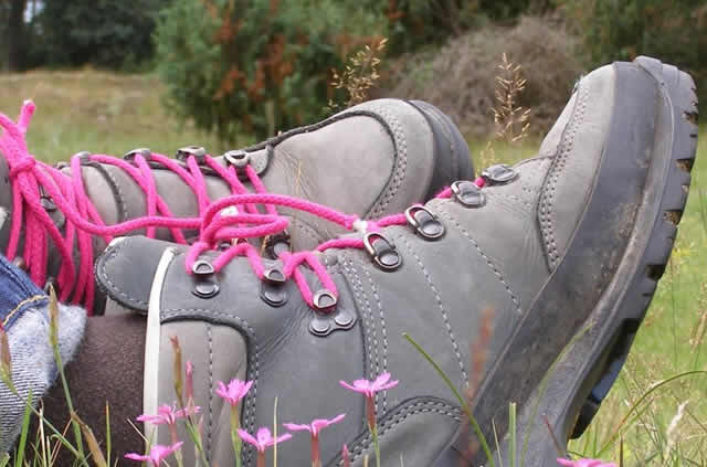 Wandeltocht naar Spakenburg