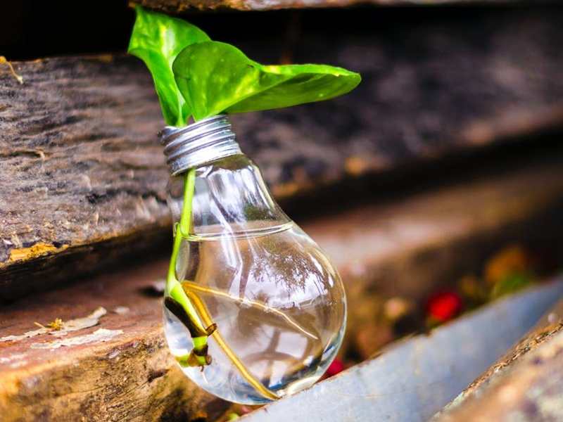 Info-avond over (levens)testament